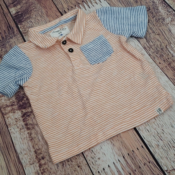 Striped Polo - Picture 3 of 6